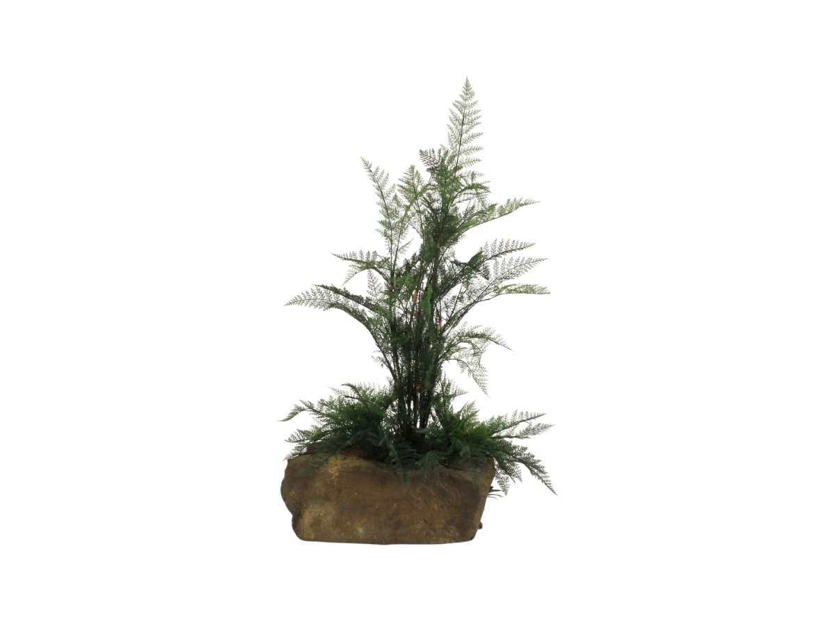Pot Rock - 008