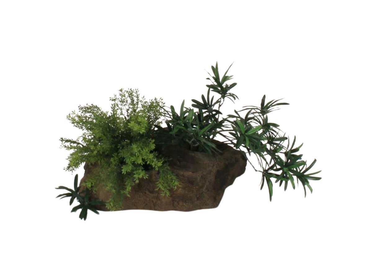 Pot Rock - 011