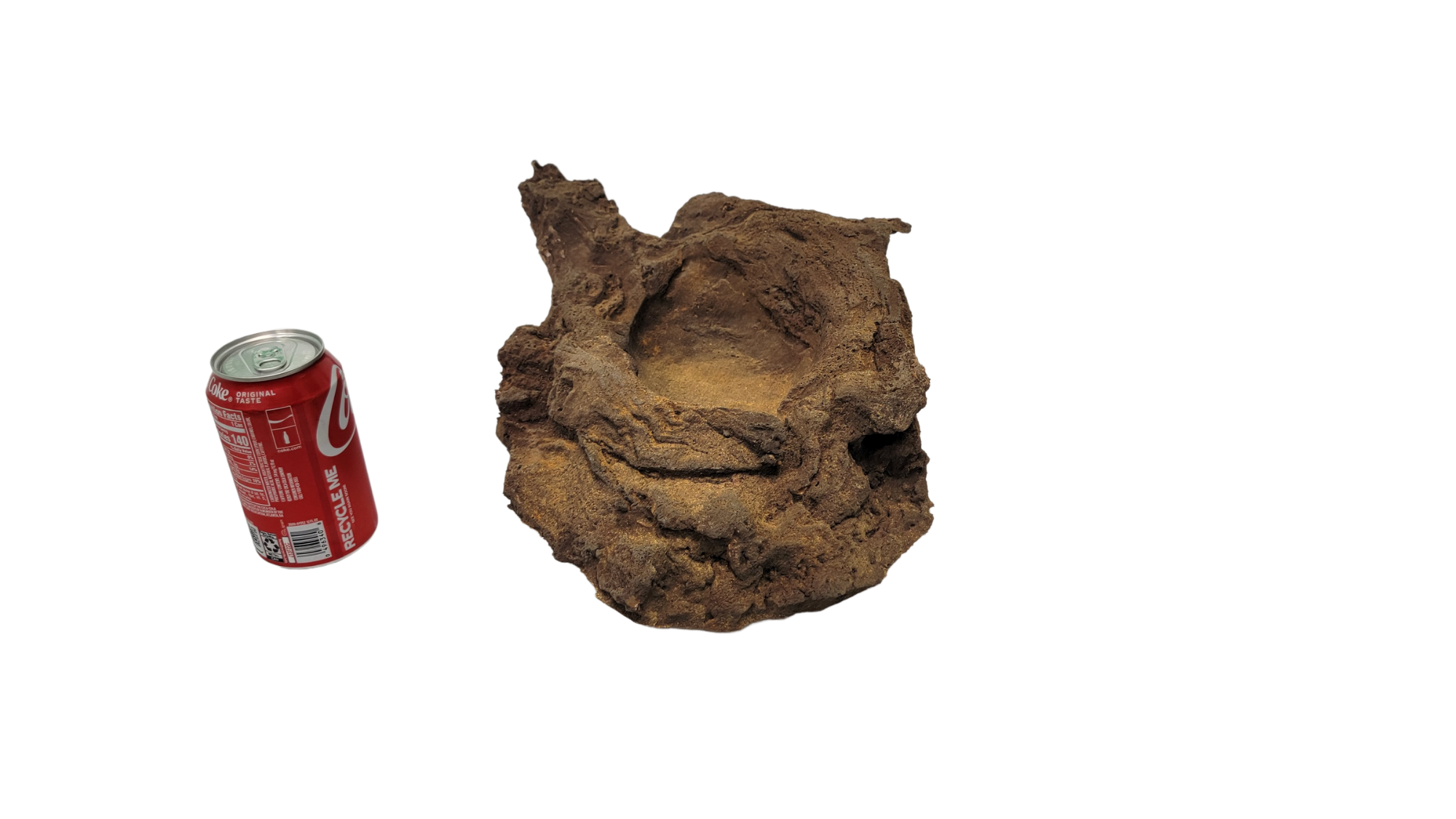 Tree Bowl - 022