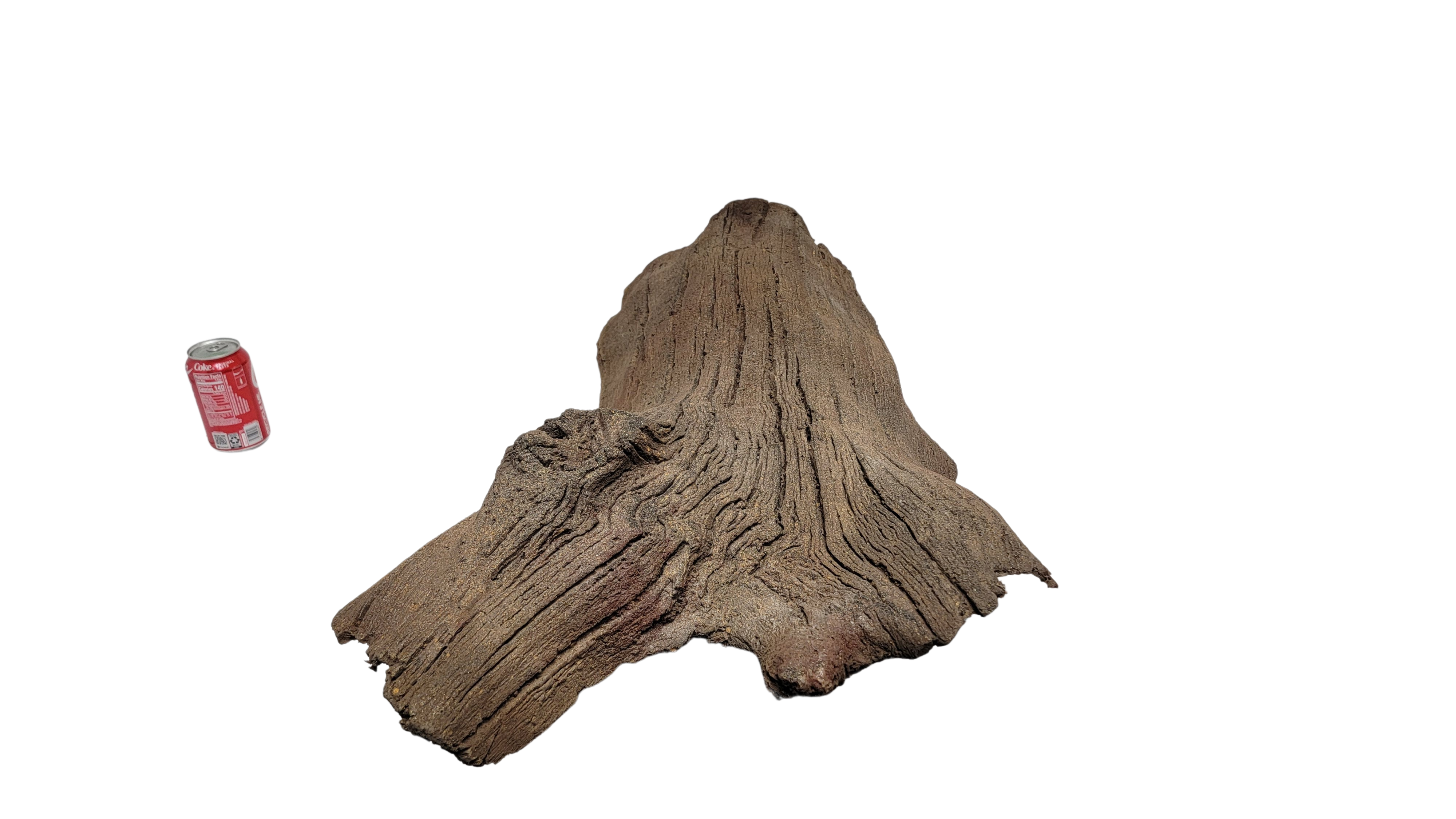 Sunken Log-001