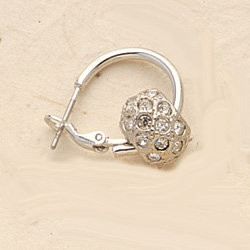 Combo #6  Crystal Beads with Hoops