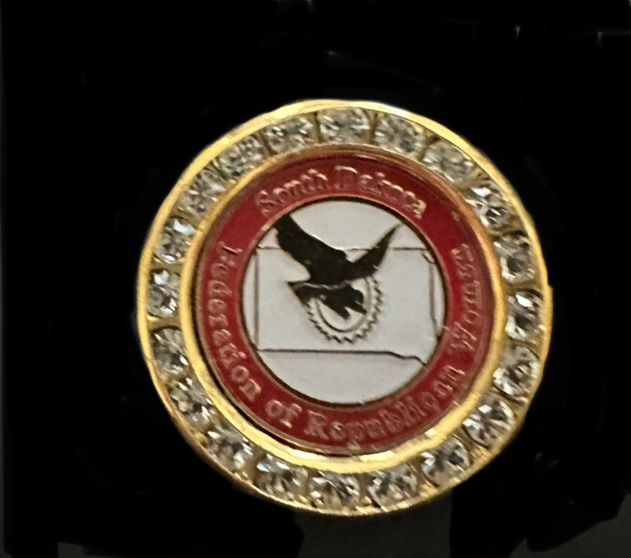 SDFRW  Crystal Pin $39 w/free shipping