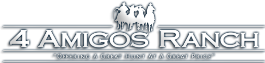 4 Amigos Ranch