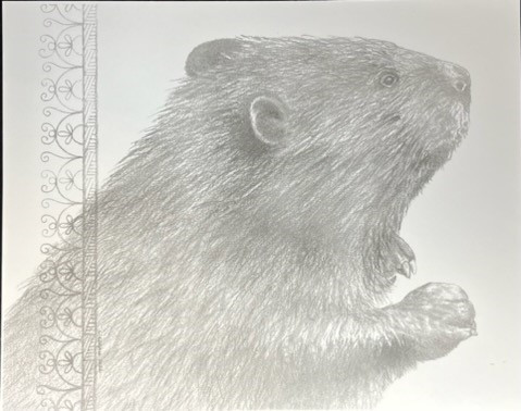 Ll Beaver B&W