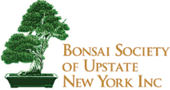 Bonsai Society of Upstate NY