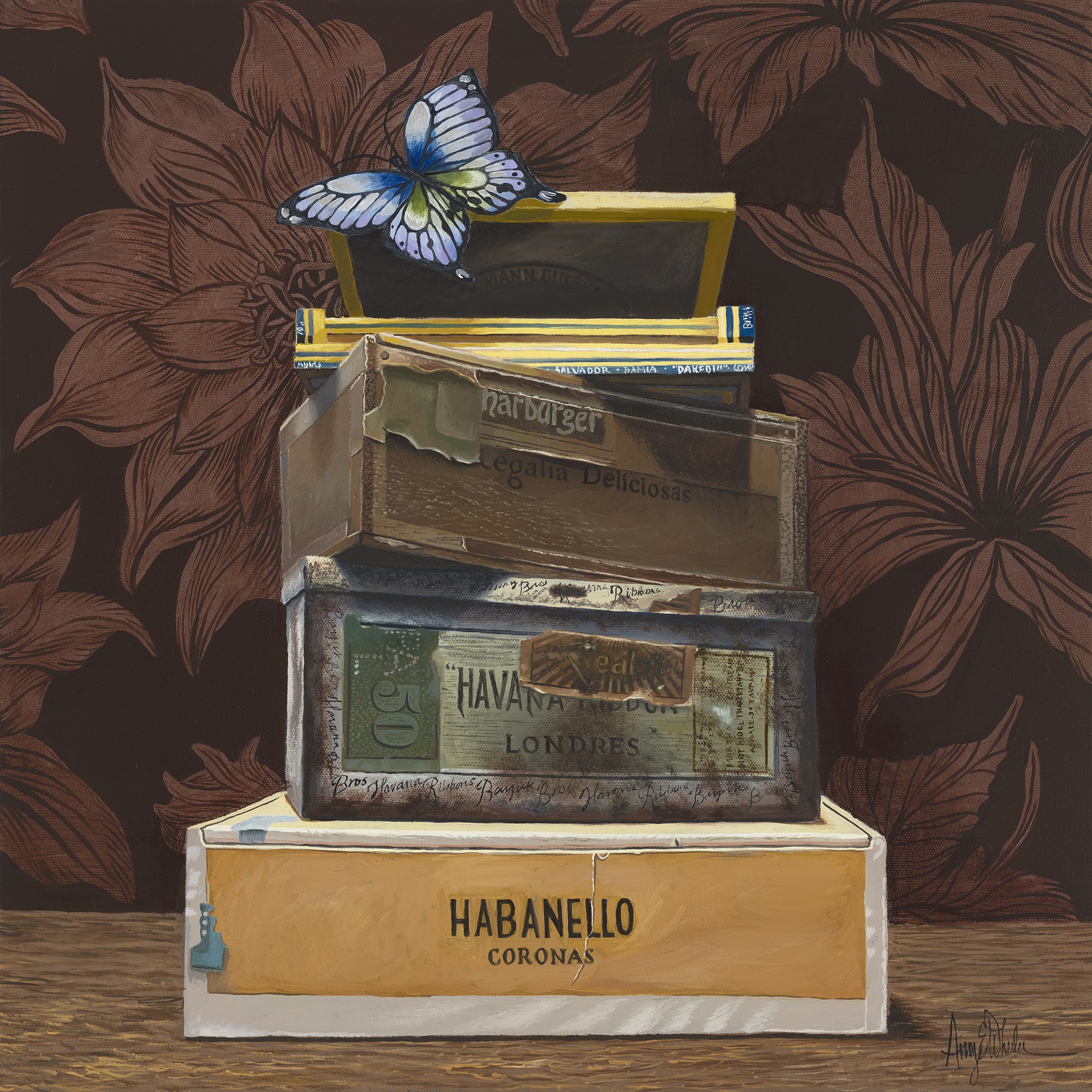Butterfly, Cigar boxes, Dahlia