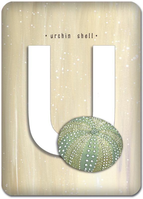 U is for Urchin Shell