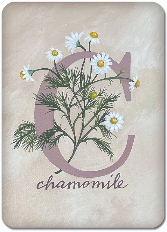C is for Chamomile