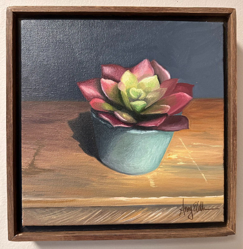 Succulent